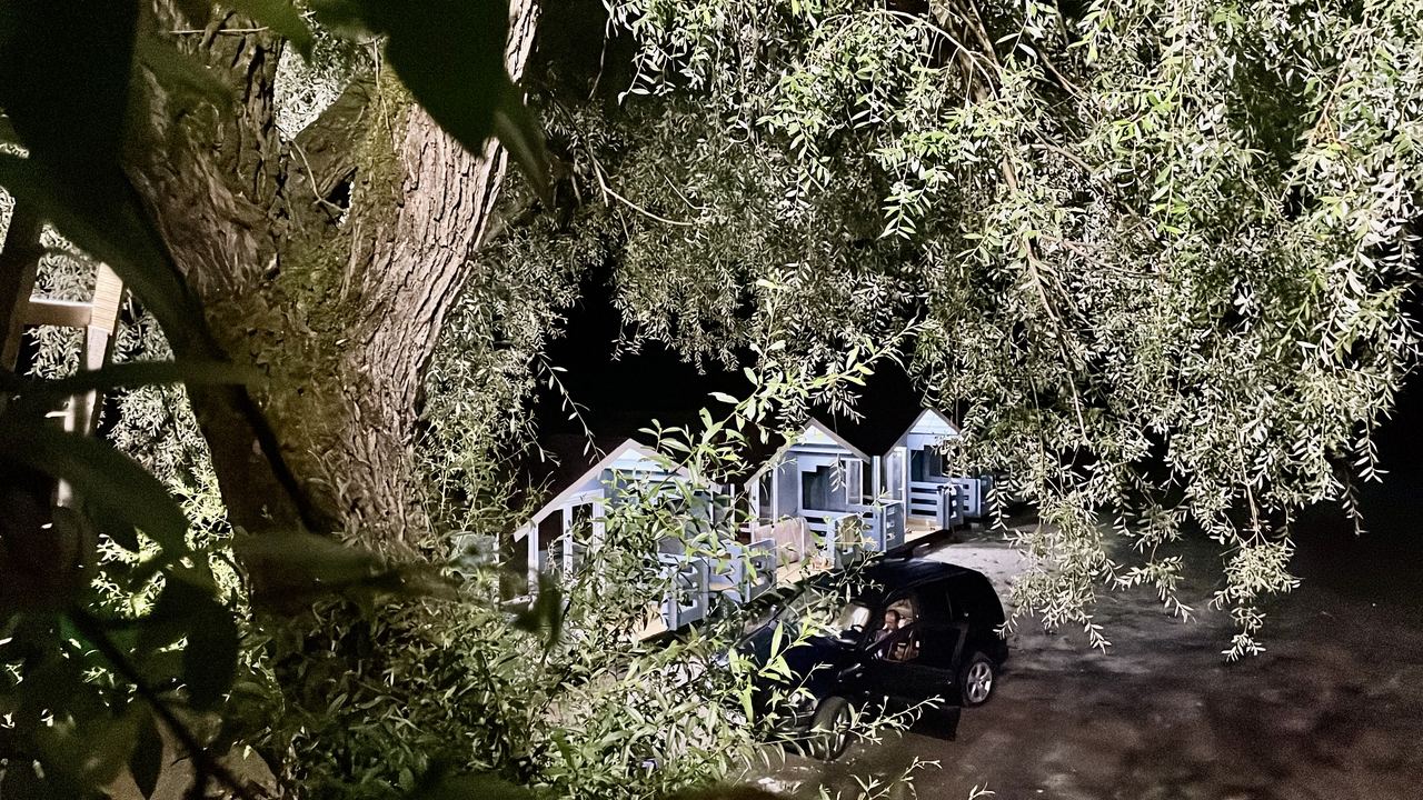 Aapsta Village, Гудаута — фото 12