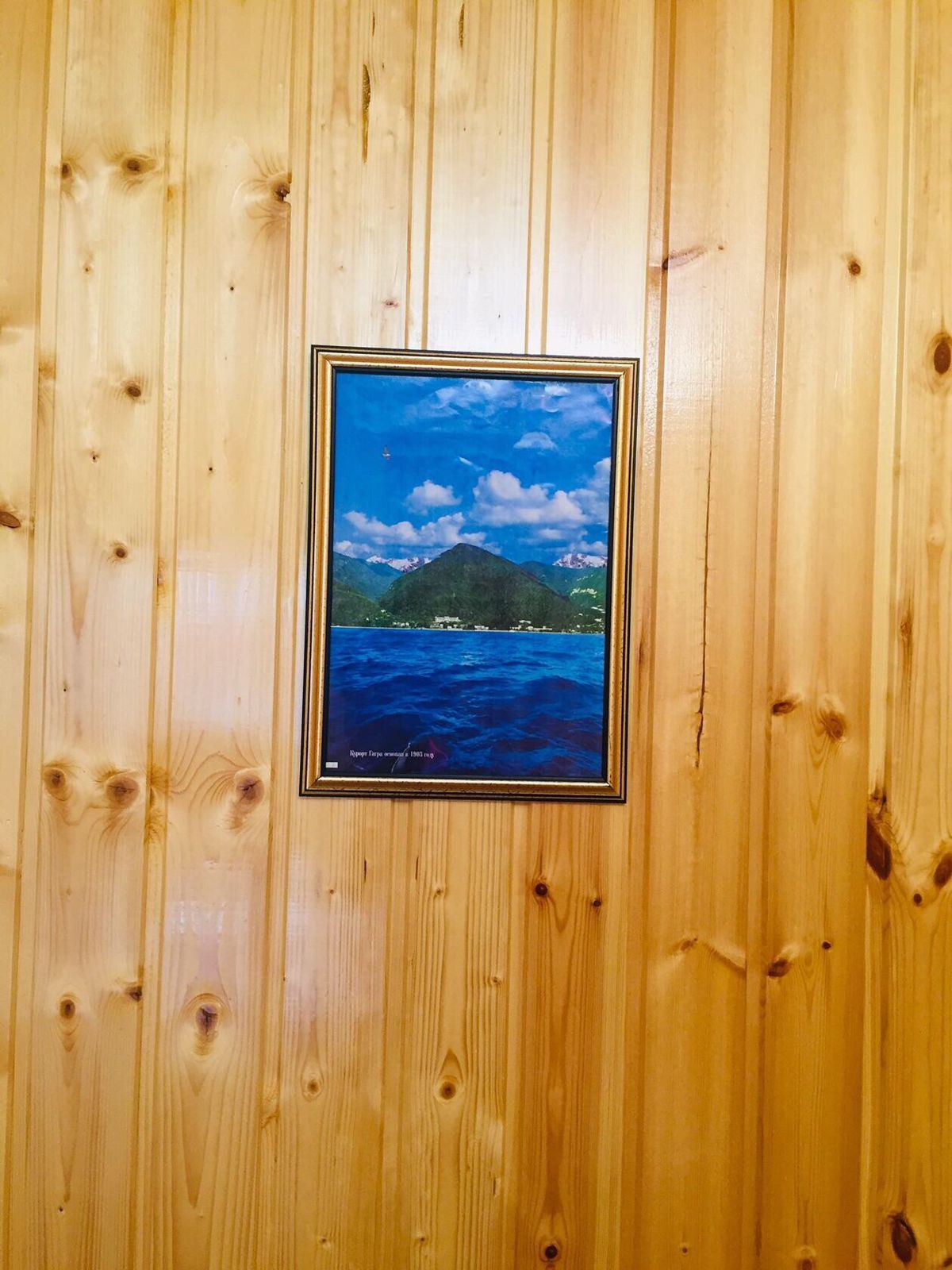 "Для двоих Арабика" дом под-ключ в Гаграх, Гагра — фото 10