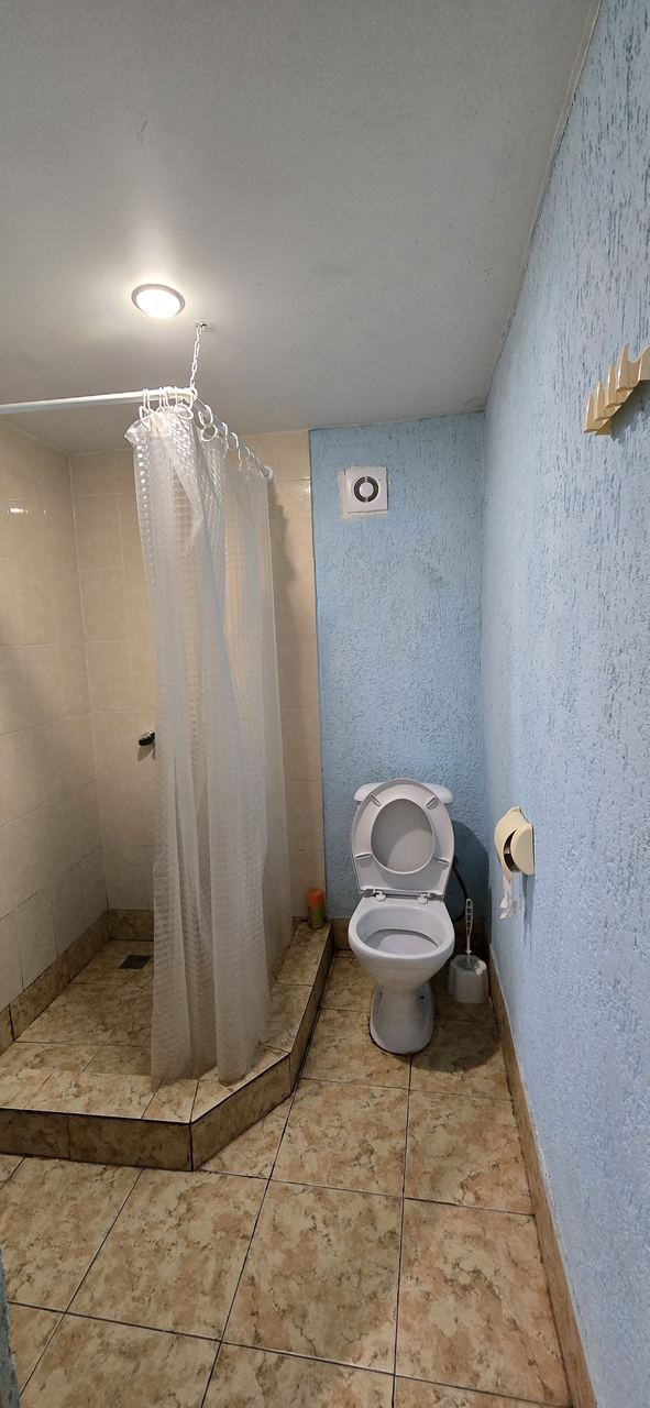 В тени  киви, Сухум — фото 11