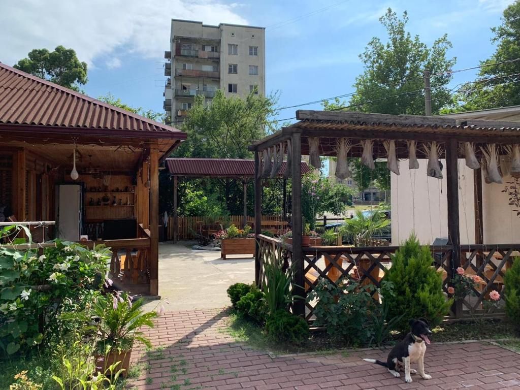 Мини гостиница на Лакоба, Гагра — главное фото