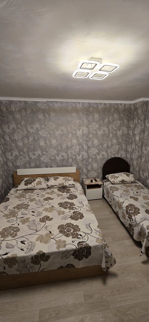 В тени киви, Сухум — фото 2