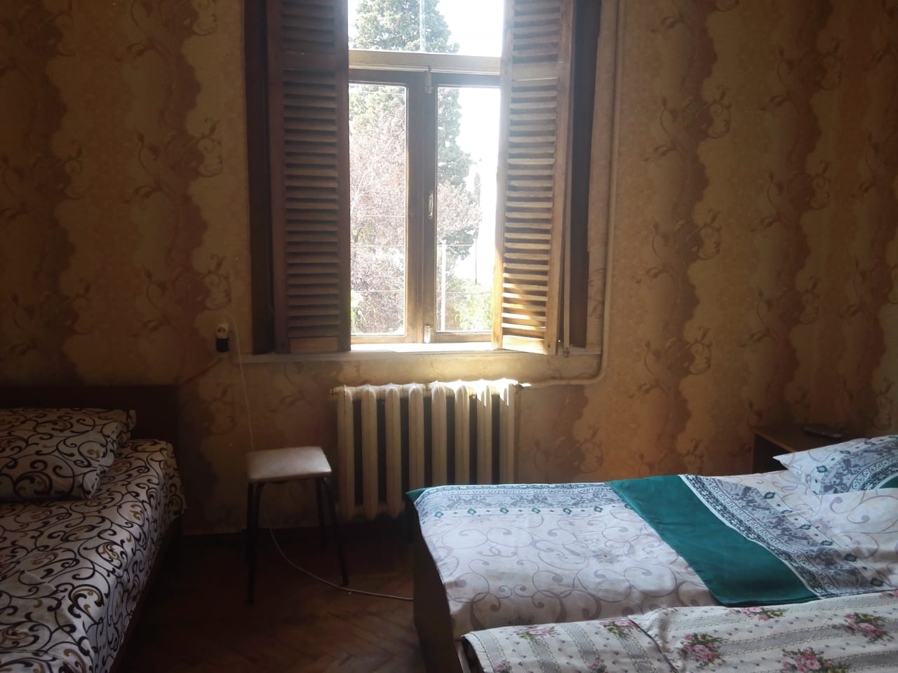 standard - Photo 1