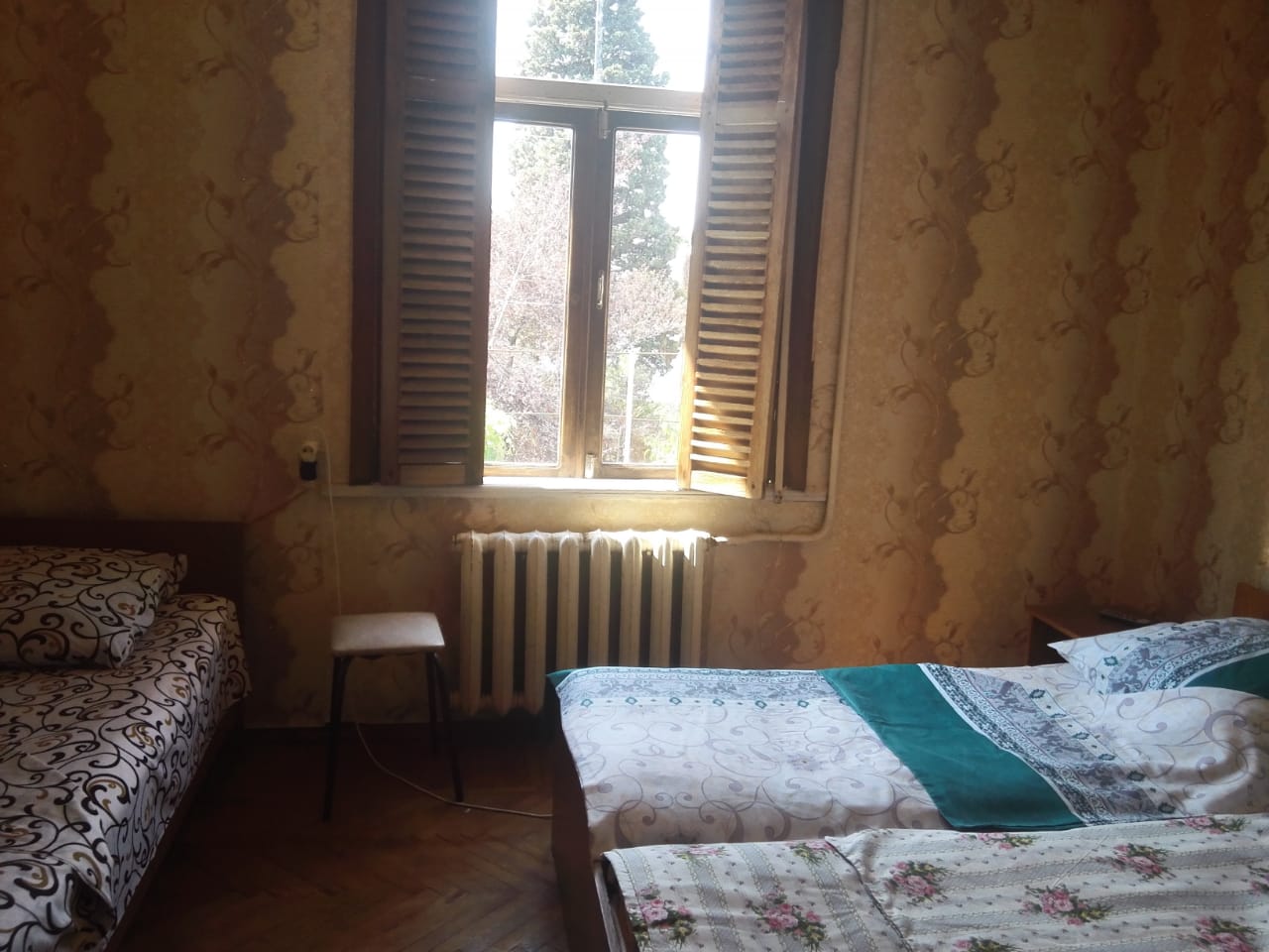 standard - Photo 2